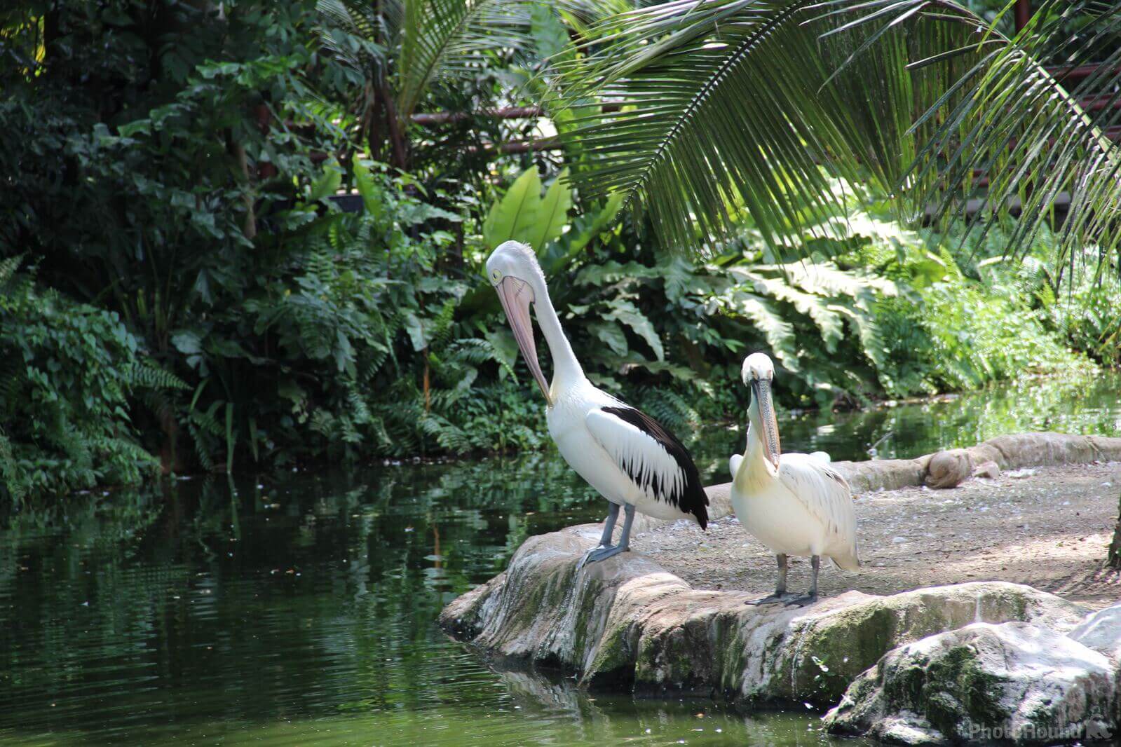Image of Bali Bird Park by Team PhotoHound