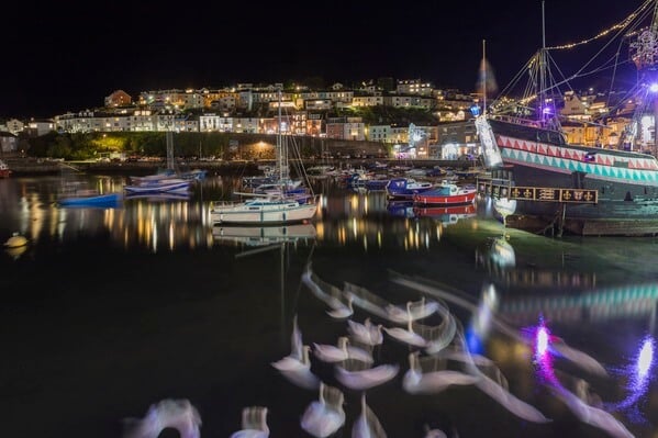 Brixham Harbour, with swans in the foreground - 2021