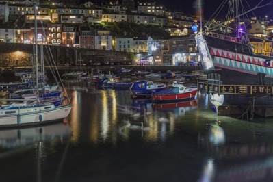 Brixham Harbour, with swans in the foreground - 2021