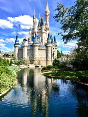 Picture of Disney's Magic Kingdom Park - Disney's Magic Kingdom Park