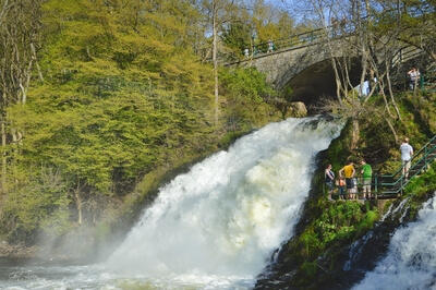 Coo Waterfall