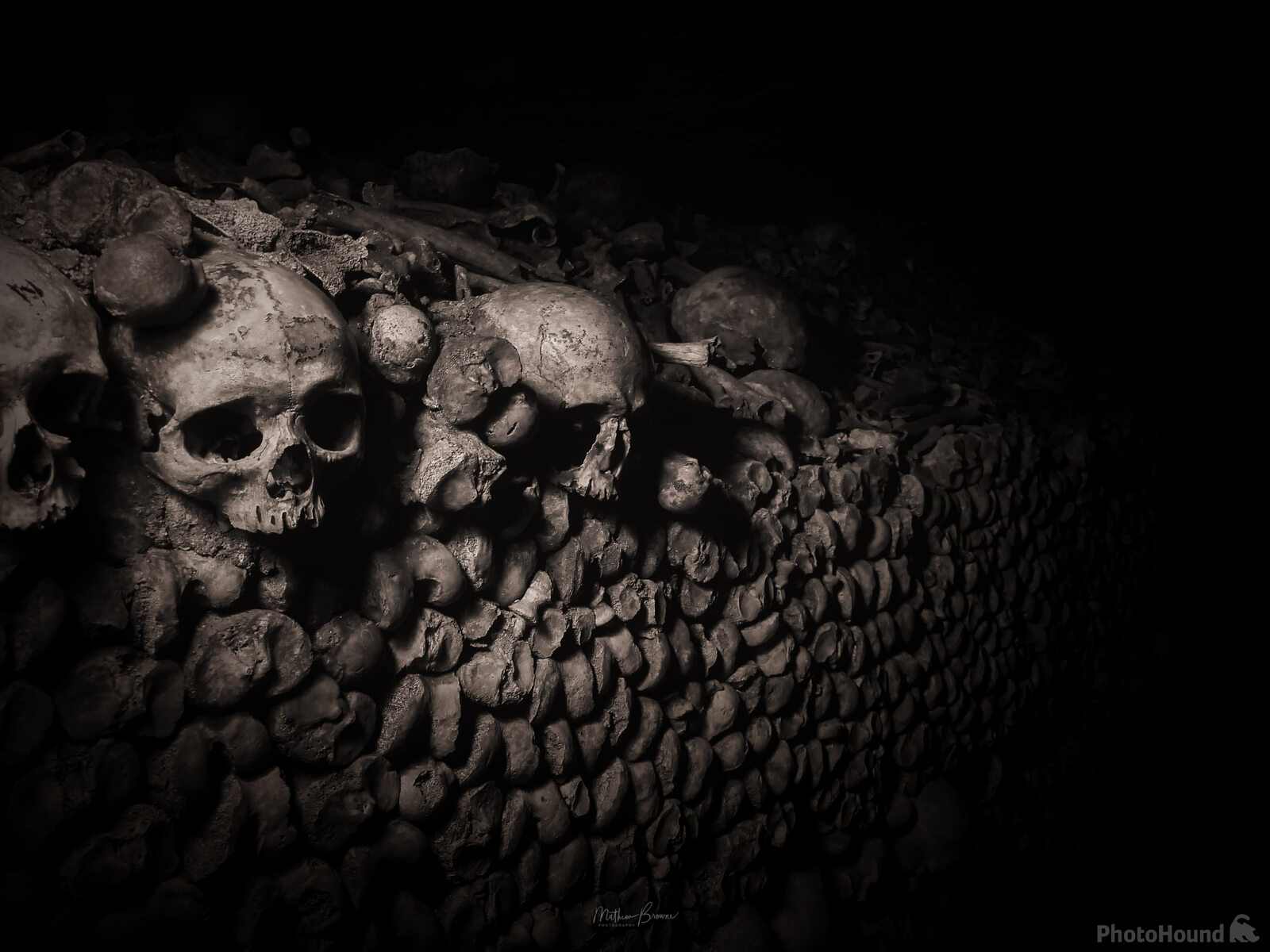 Image of Paris Catacombs by Mathew Browne