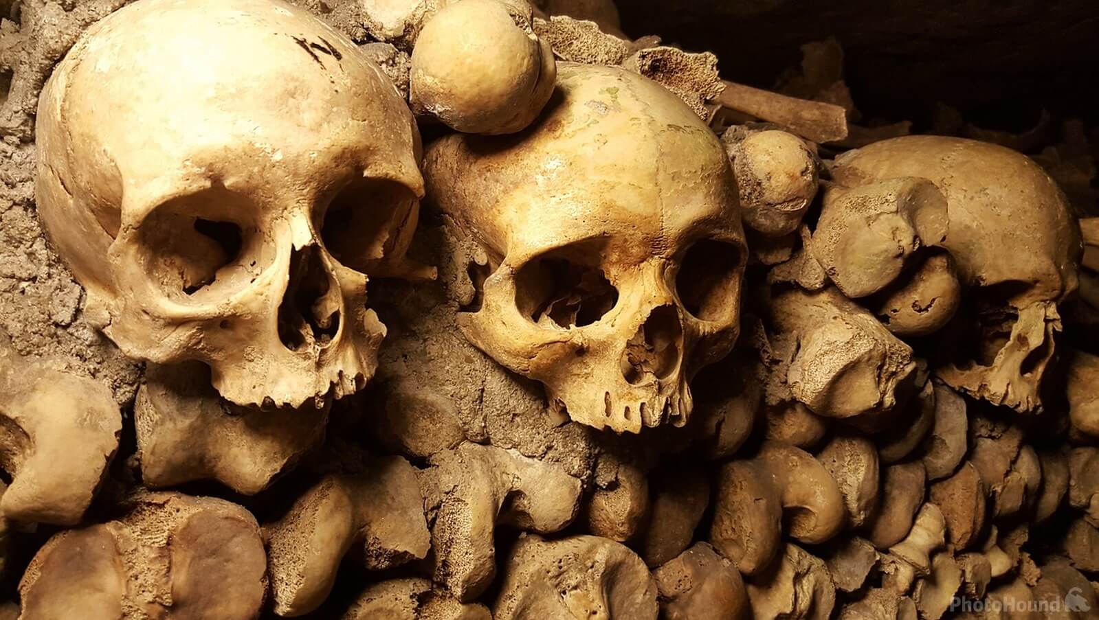 Image of Paris Catacombs by Team PhotoHound