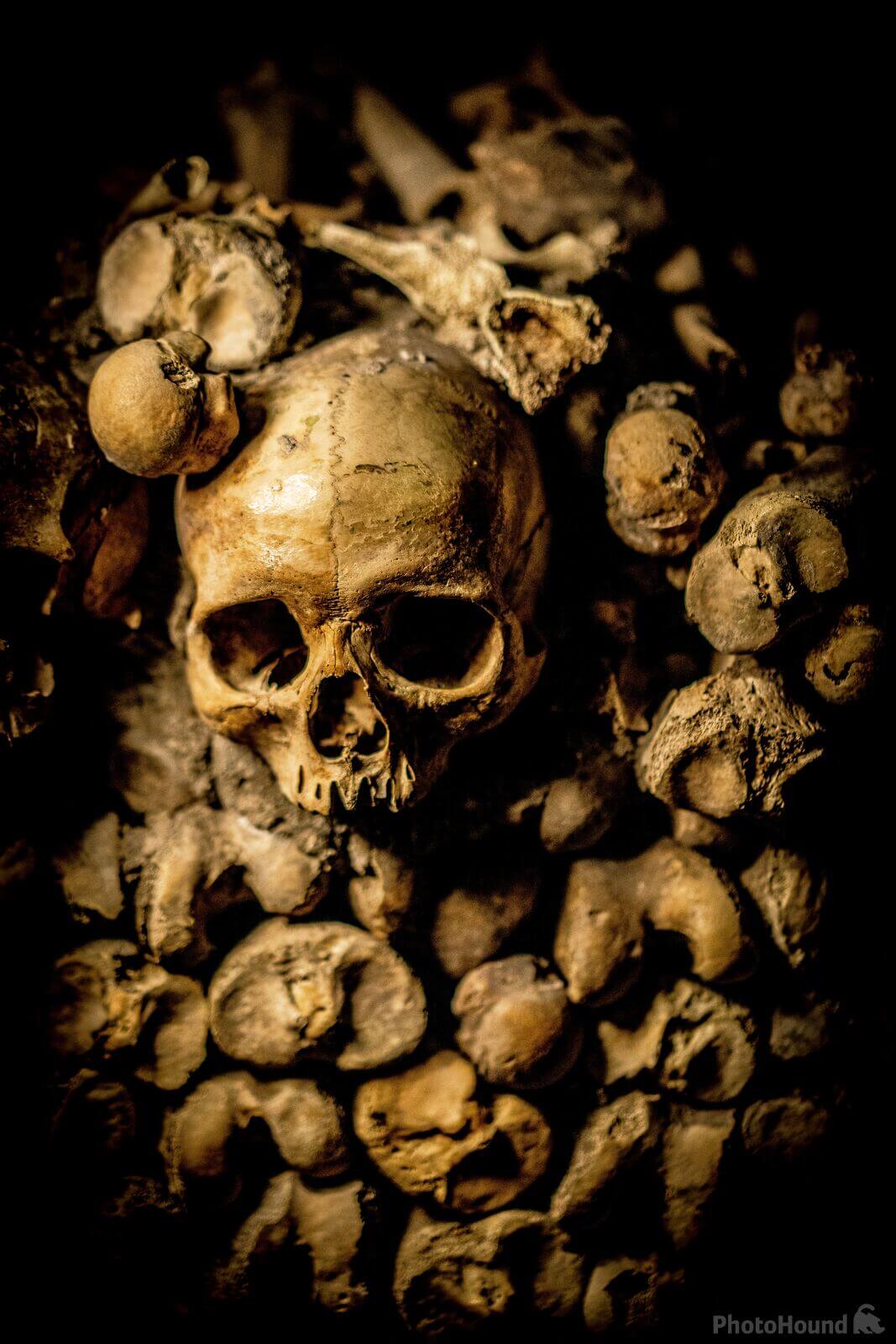 Image of Paris Catacombs by Team PhotoHound