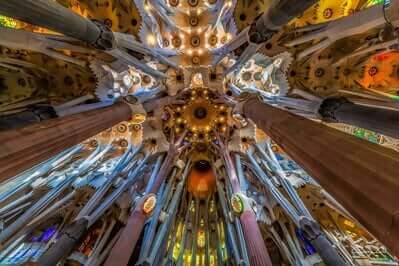 Picture of Sagrada Familia - Interior - Sagrada Familia - Interior