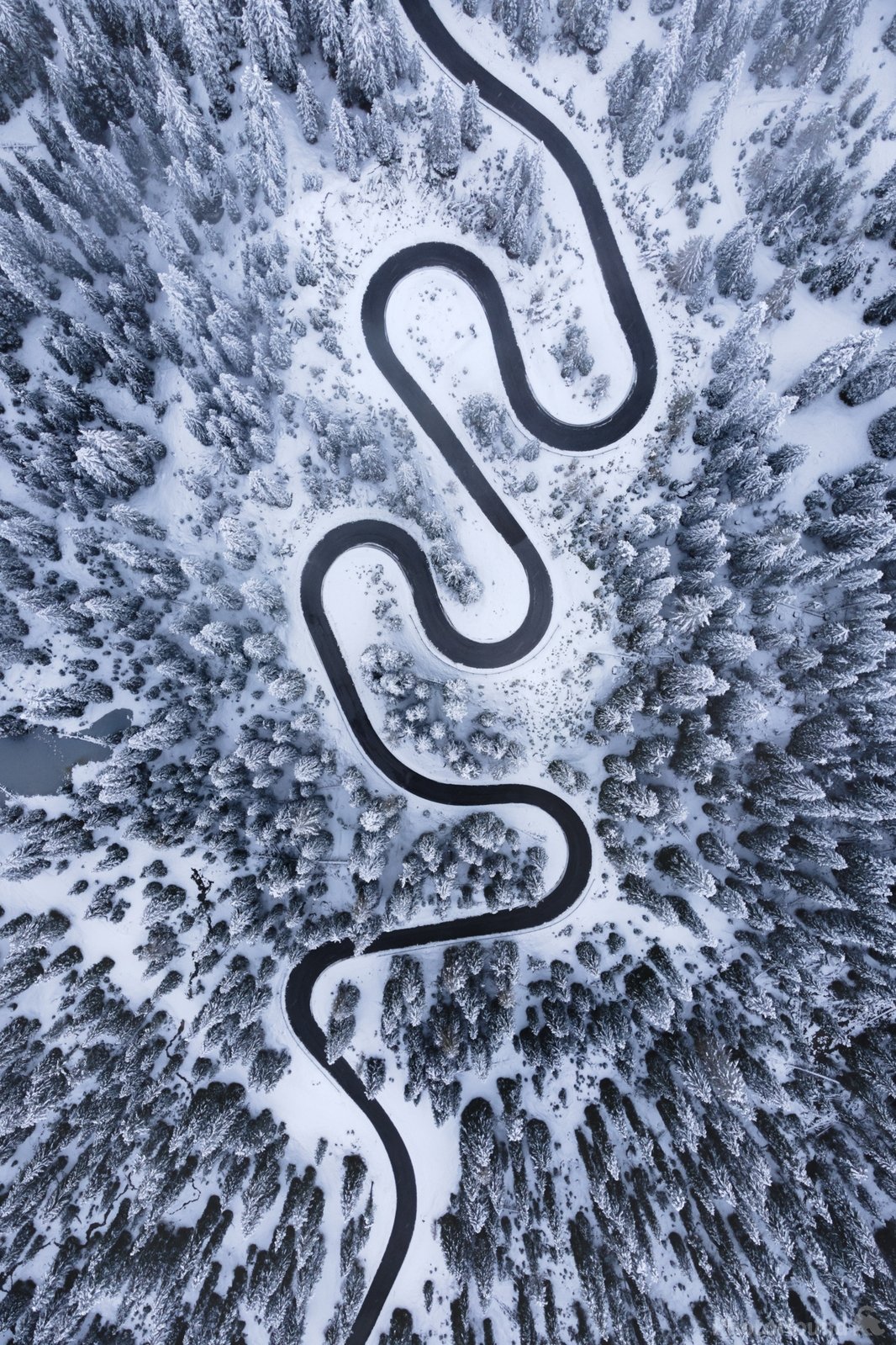 Image of Snake Road in Passo Giau by Alan Bučar Vukšić