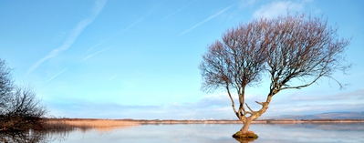 pictures of South Wales - Kenfig Pool