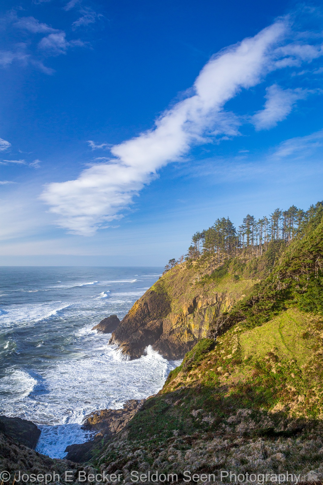 Image of North Head Lighthouse - Cape Disappointment by Joe Becker