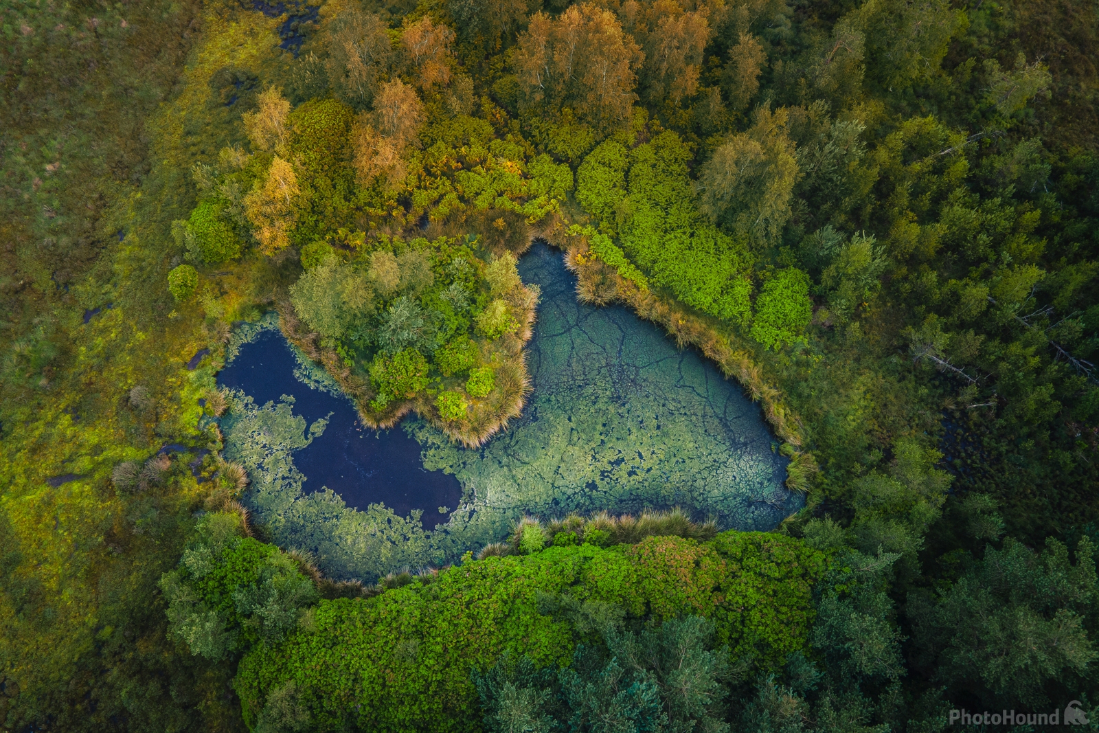 Image of Dersingham Bog by James Billings.