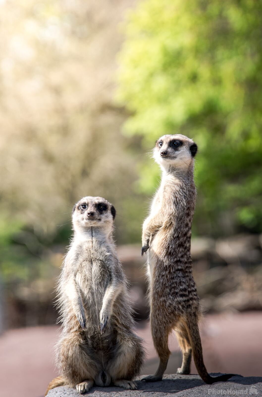 Image of Copenhagen Zoo by Team PhotoHound