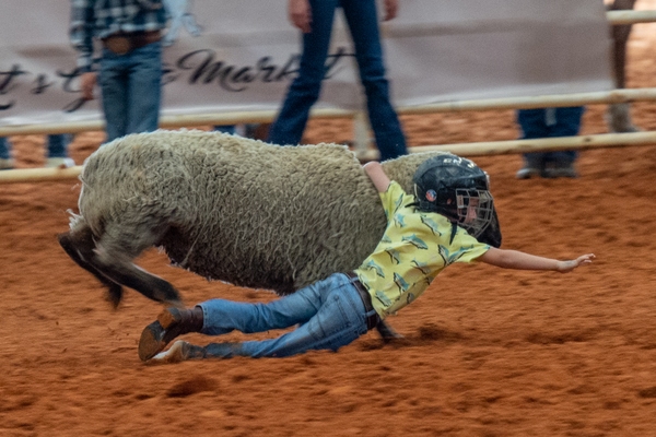This young girl won the Mutton Bustin' event.