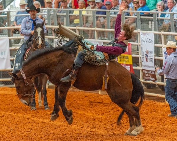 In the Bareback Bronc riding event the riders hold onto a special grip attached to the riggin' which is the forward padded belt. The judges score both the horse's and the rider's performance for a total overall score.