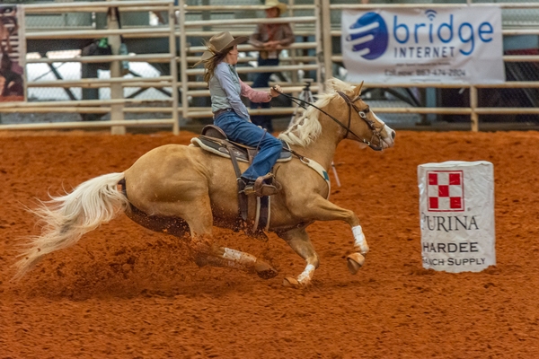 In barrel racing three barrels are placed in a triangle with sides of 105 ft/30 m and a base of 149 ft/45 m. The racers enter the arena at full speed and run a cloverleaf pattern around the barrels. The fastest time this day was 17.24 sec. Theoretically the total distance is 510 ft/155 m. In practice the travel lines curve and are longer. Barrel racing is one of the few women's events in rodeo. A good rodeo horse can cost up to $200,000 (USD).