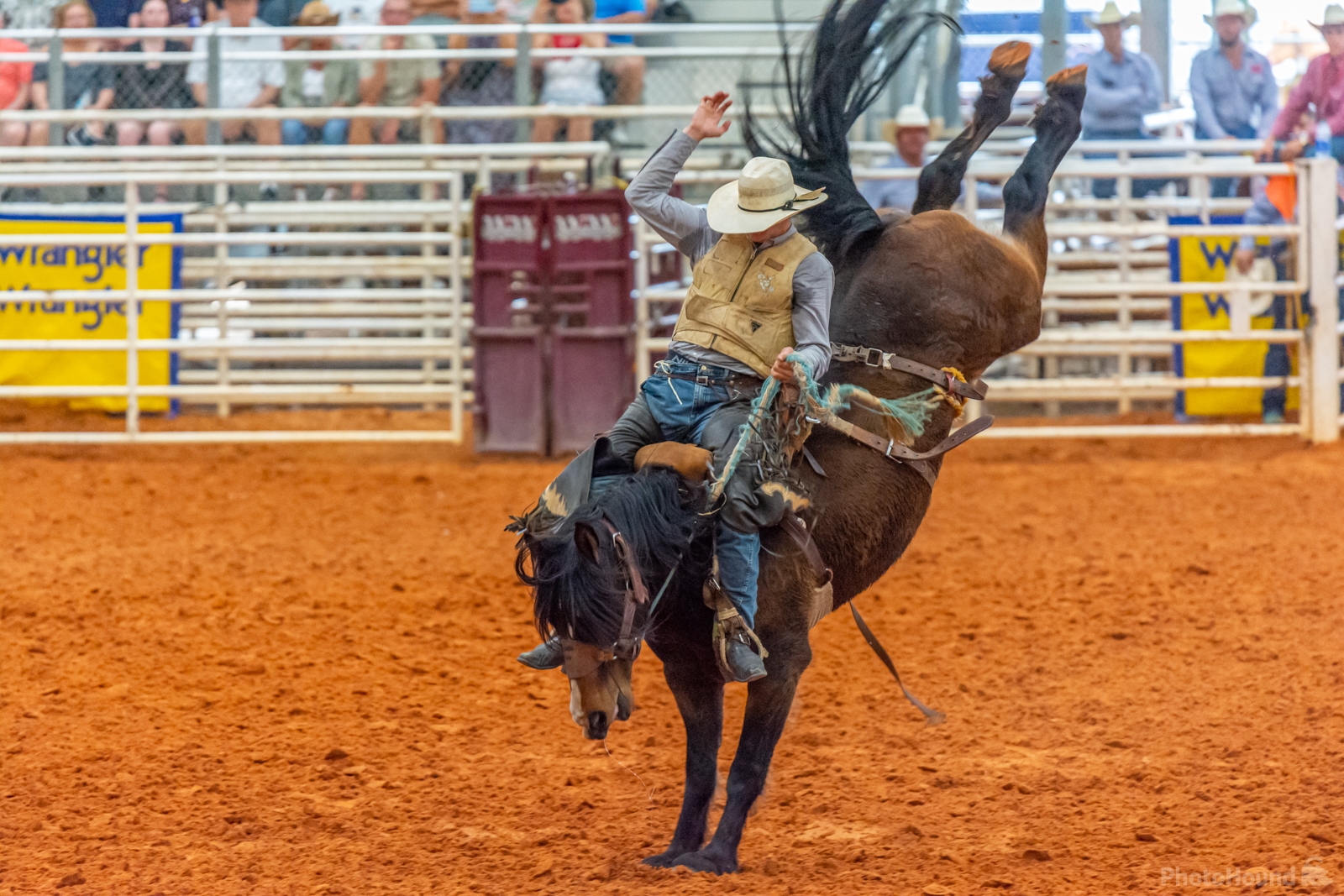 Image of Arcadia All-Florida Championship Rodeo by Wayne Foote