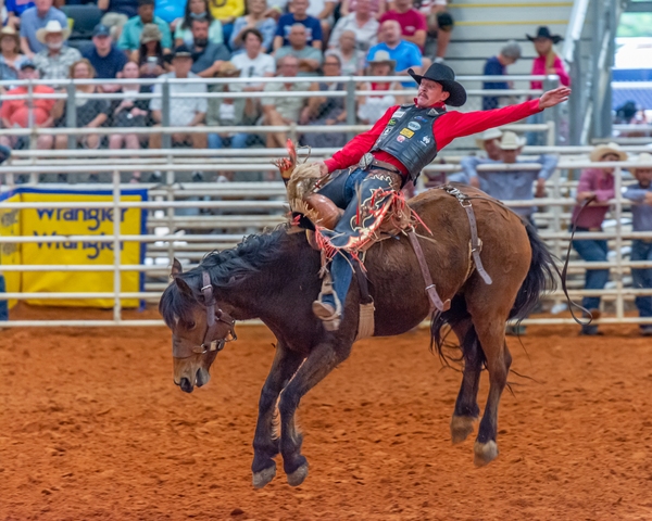 Another saddle bronc and rider.