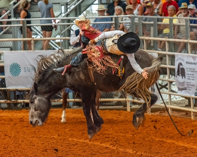 Events in United States - Arcadia All-Florida Championship Rodeo