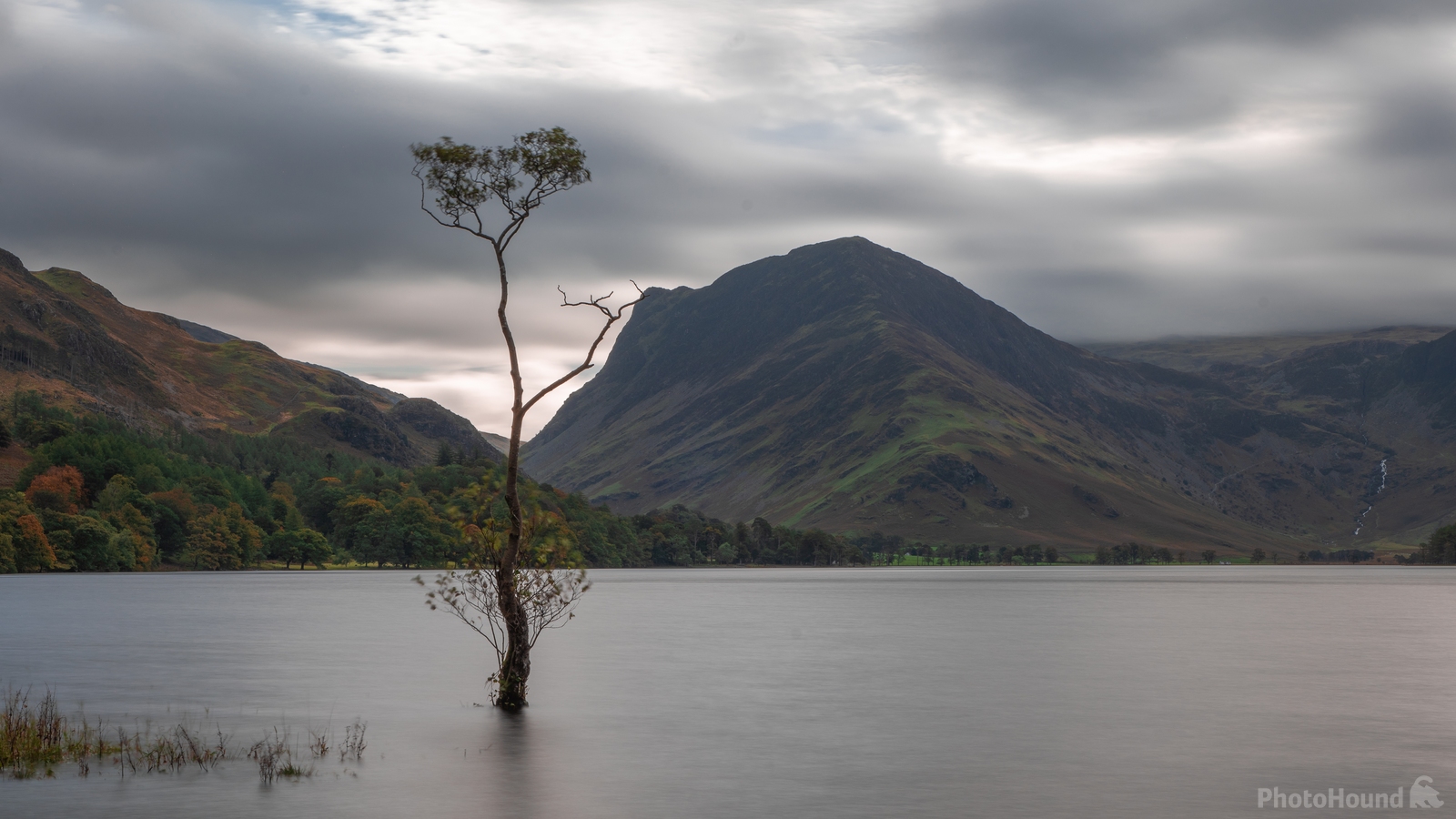 Image of Buttermere lonely tree by Tony Heale