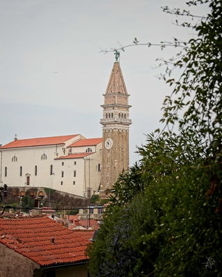 pictures of Istria - Piran Elevated View