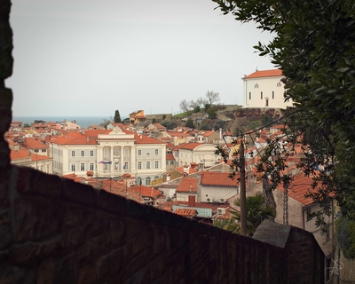 photos of Istria - Piran Elevated View