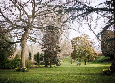 Image of Bishop's Palace Garden - Bishop's Palace Garden