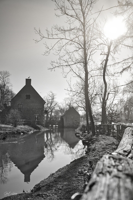 Pairi Daiza - Cambron Abbey  - The Mill