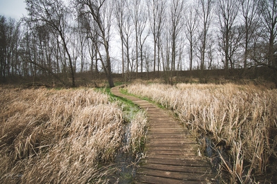 instagram spots in Belgium - Kessenich - Pond Swamp - Riverpark Maas-valley