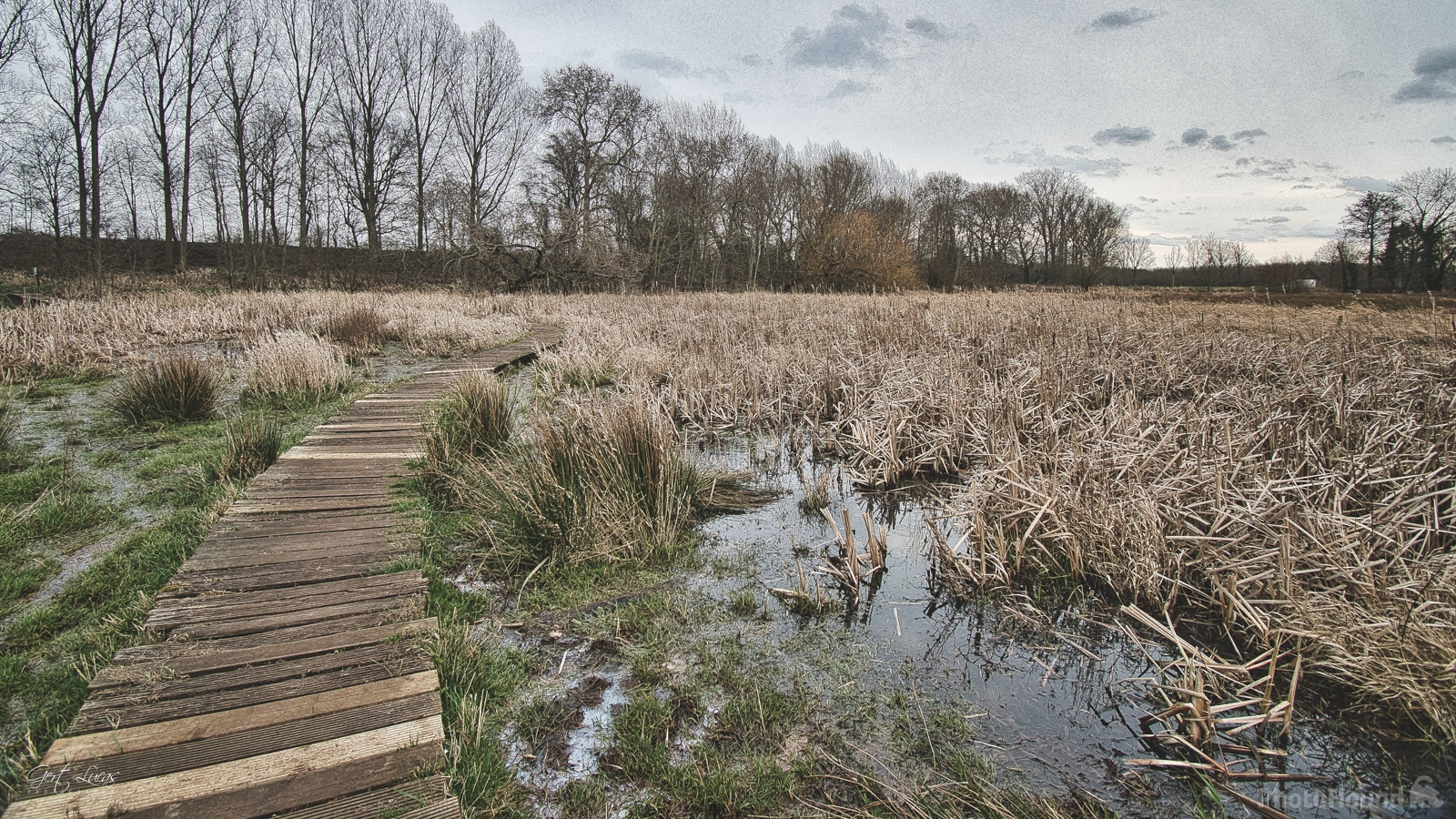 Image of Kessenich - Pond Swamp - Riverpark Maas-valley by Gert Lucas