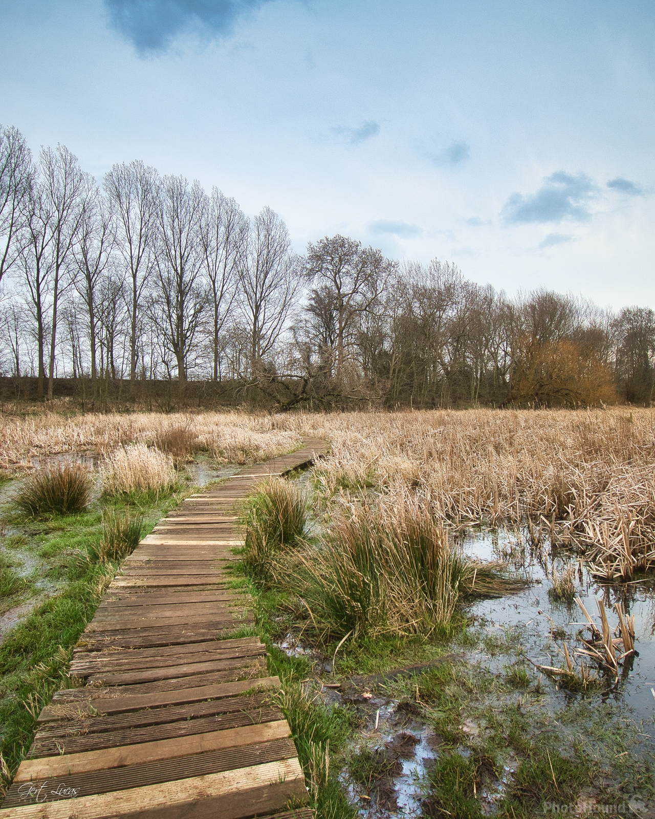 Image of Kessenich - Pond Swamp - Riverpark Maas-valley by Gert Lucas
