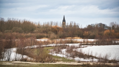 photography locations in Vlaams Gewest - Kessenich embankment - ooibossen