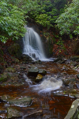 A gem of a waterfall hidden at the bottom of Shooters Clough close to Errwood Hall.