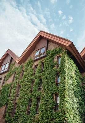 This building covered in ivy is absolutely stunning and photographed by many. It is located just behind Juhls Silver gallery on the street Bugården. Bring a wide lens for this one!