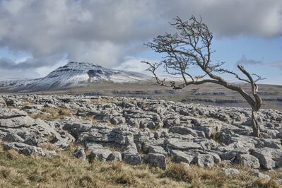 images of The Yorkshire Dales - Twistleton Scar