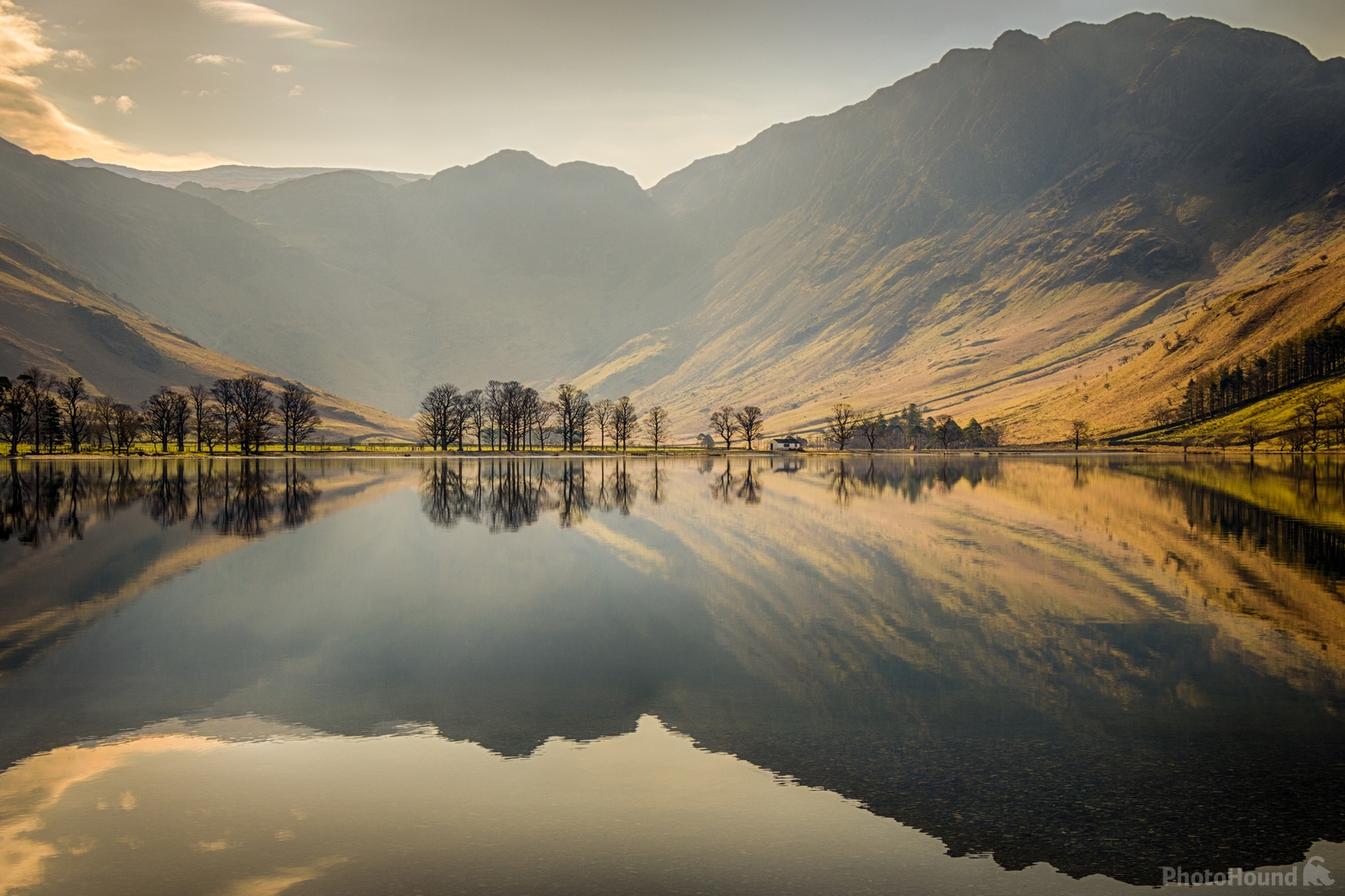Image of Buttermere Pines, Lake District by Andy Killingbeck