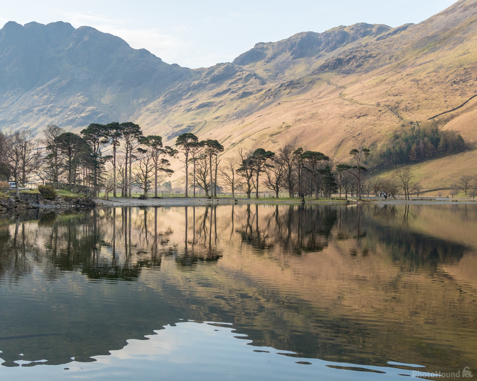 Image of Buttermere Pines, Lake District by Andy Killingbeck