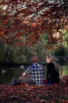 images of Ireland - St Stephen's Green