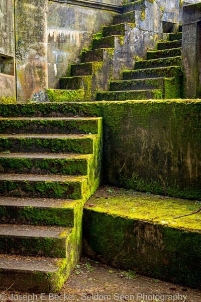 Mossy stairs at Battery Tolles