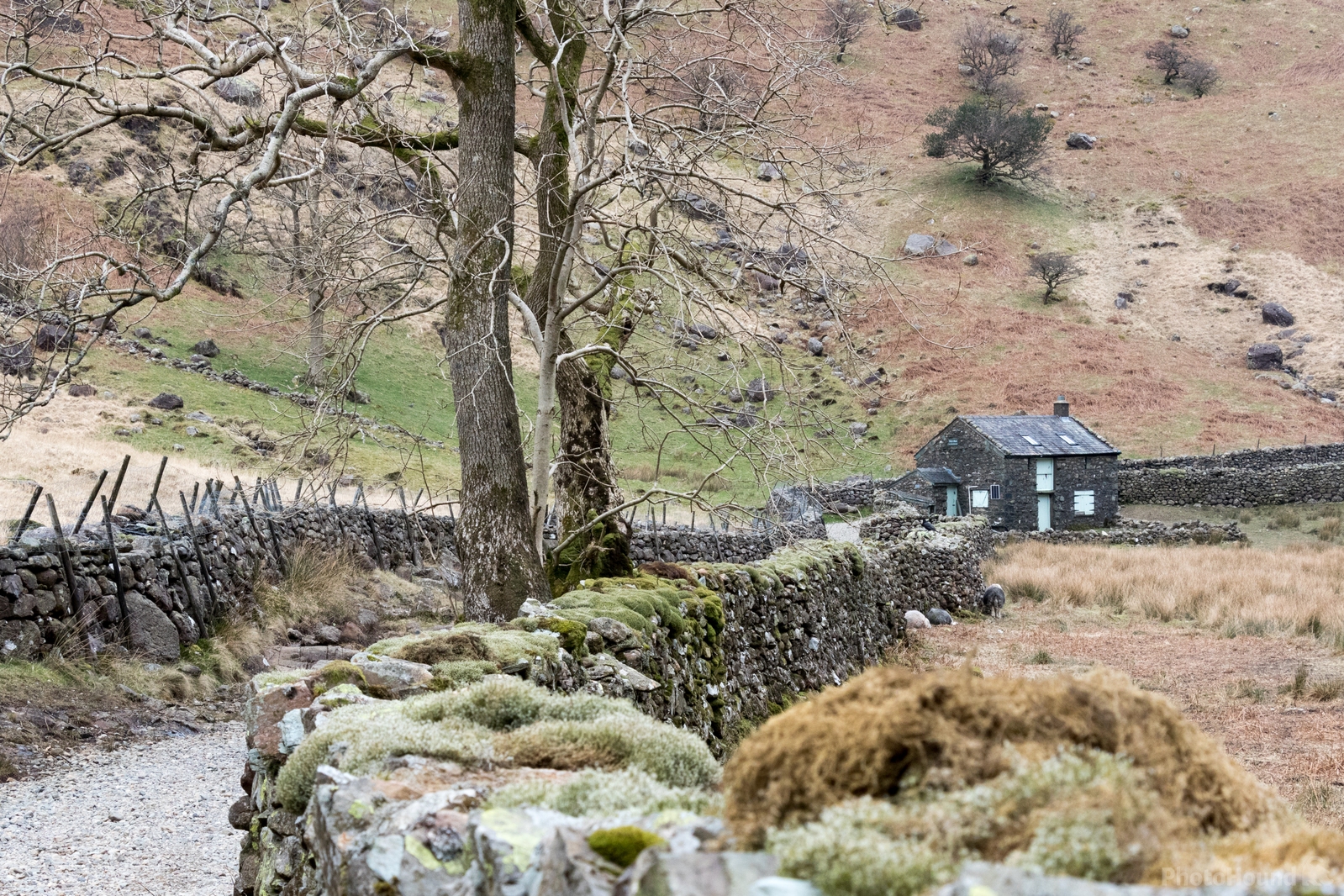 Image of Alison Grass Hoghouse and Galleny Force Waterfall by Andy Killingbeck
