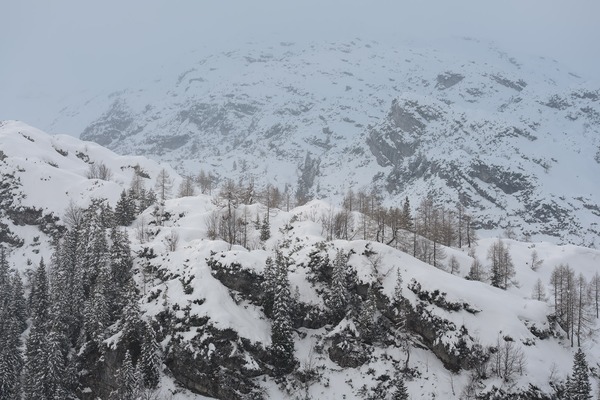 Fresh snow at Komna plateau, Julian Alps