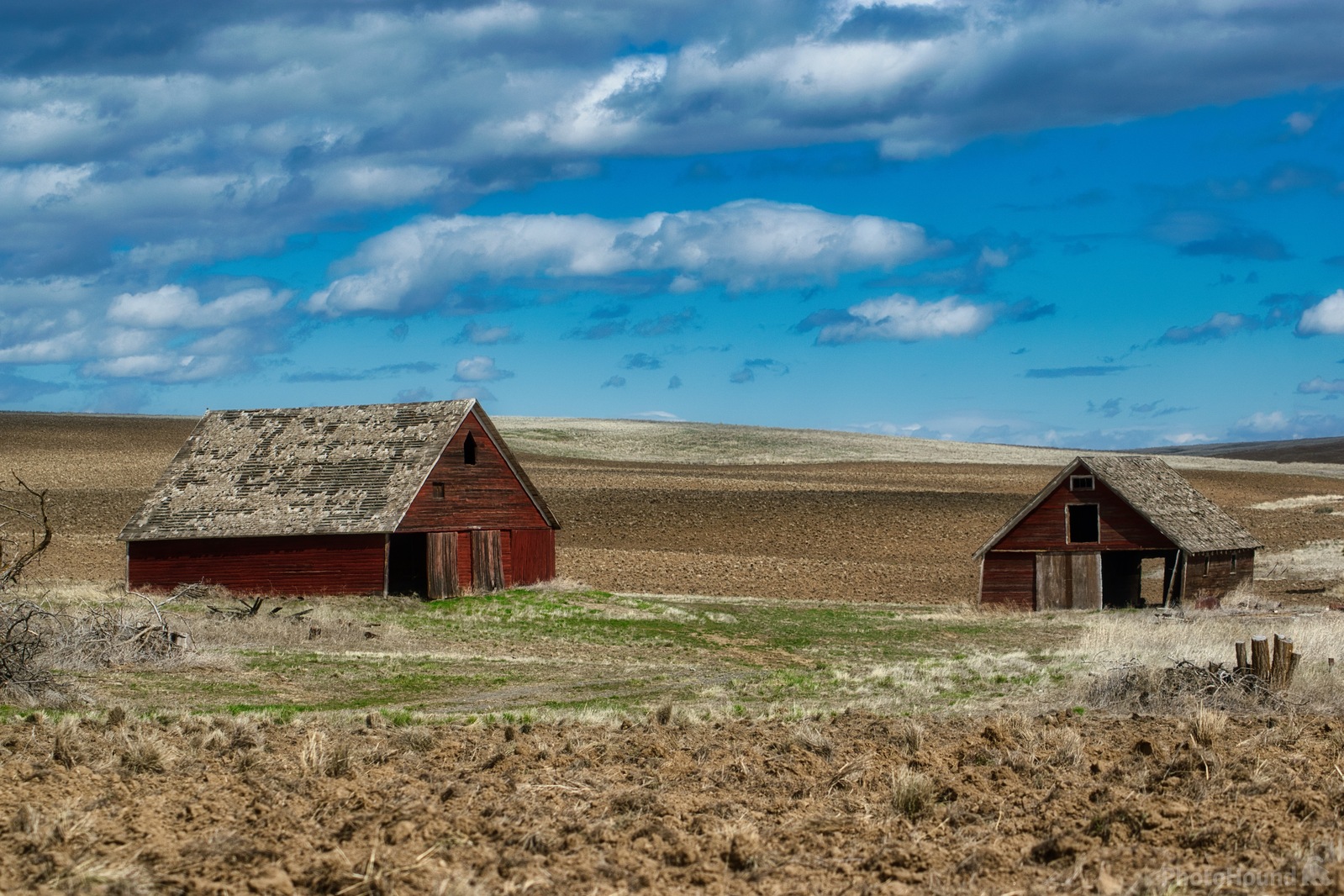 Image of Abandoned Homestead Douglas County, WA by Steve West