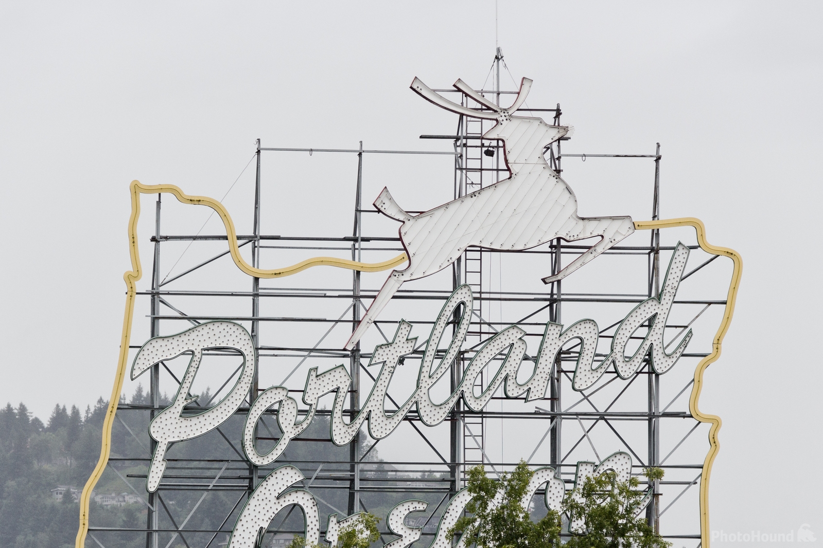 Image of Portland White Stag Sign by Mathew Browne