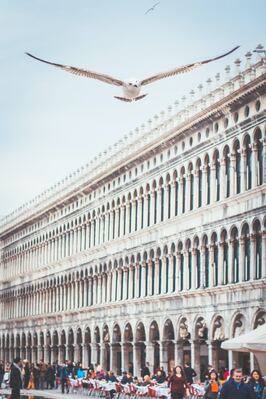 images of Venice - Piazza San Marco (St Mark's Square)