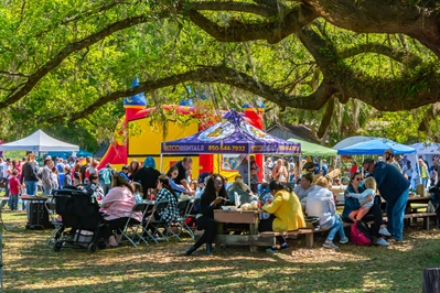 Festival goers enjoying a meal in the shade of a centuries old Live Oak.
