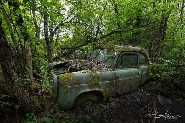 The vegetation is taking over what once was lost. The cars appear in several hundreds. Stacked upon each other or lined up the forrest is filled with relics from another era.