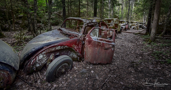 The car cemetery is a sanctuary. The line-up of these WV is a proof of the meticulous order that ruled here when the business was thriving. 