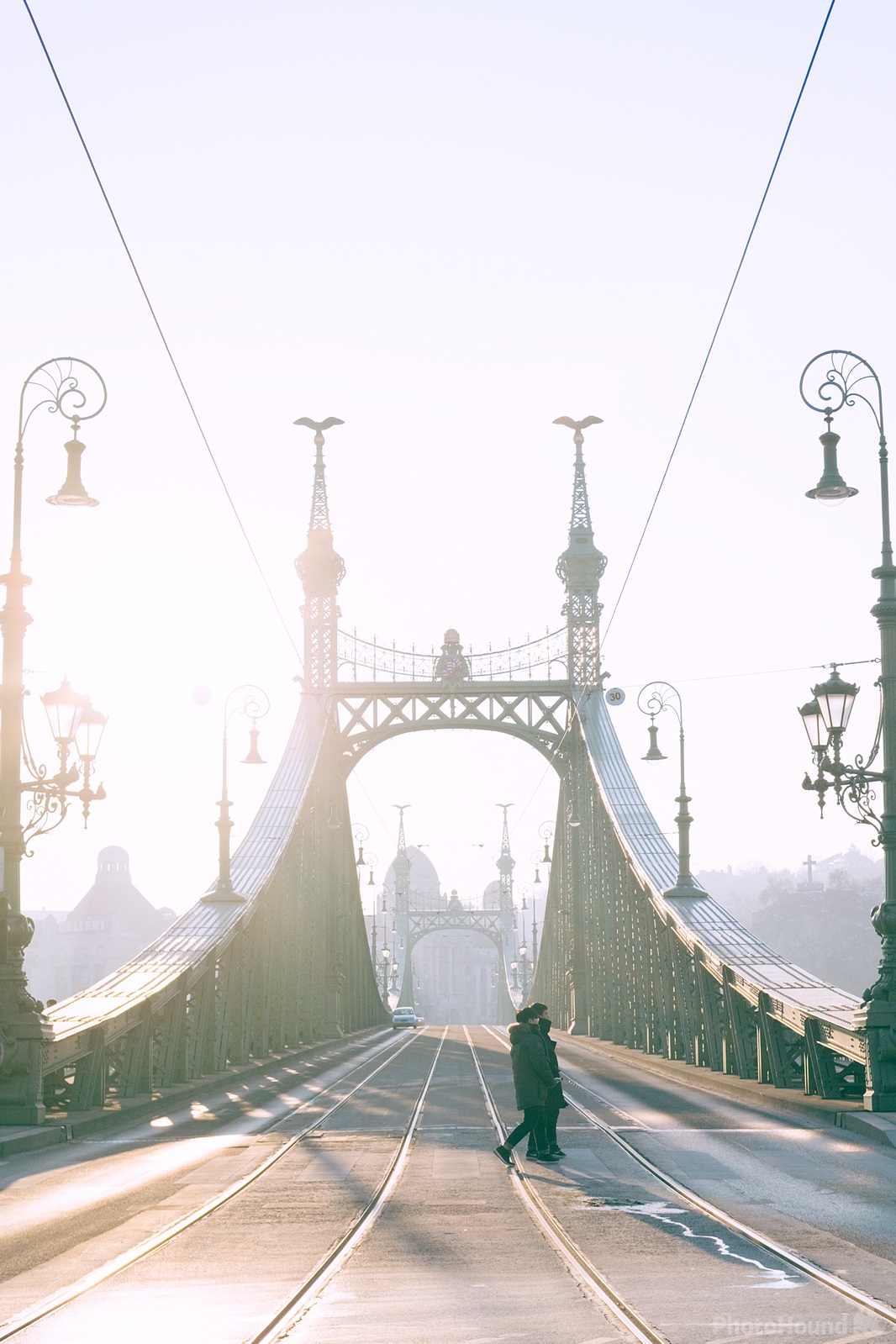 Image of Liberty Bridge (Szabadság Híd) by Team PhotoHound