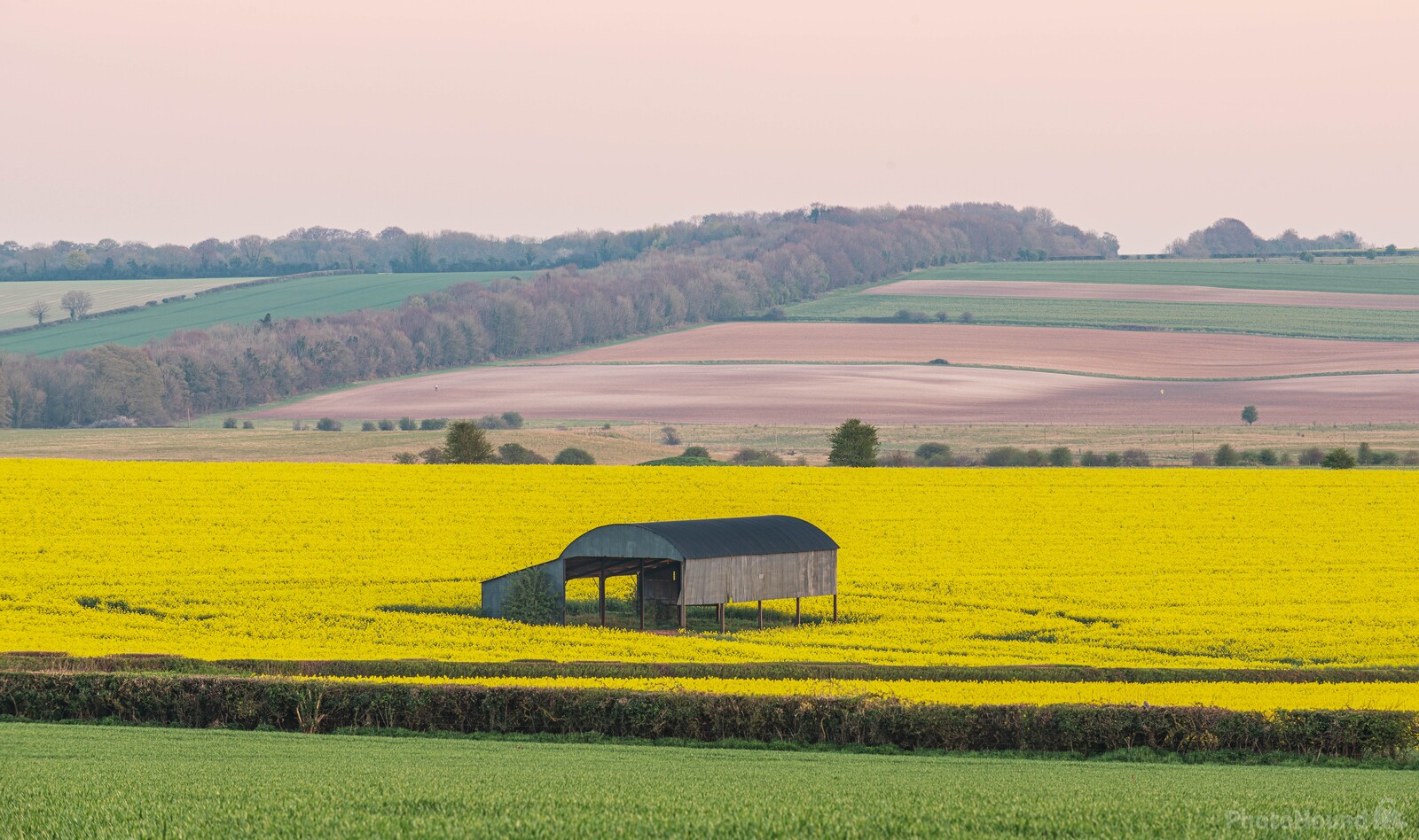 Image of   The Barn at Sixpenny Handley by michael bennett