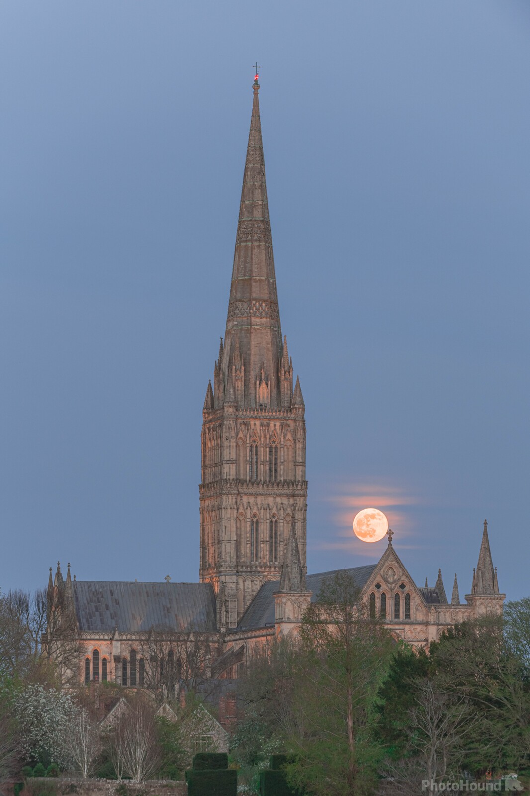 Image of Salisbury Cathedral - Interior by michael bennett