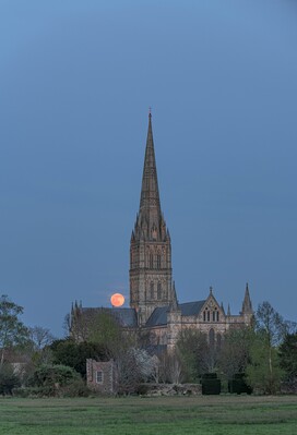 Image of Salisbury Cathedral - Interior - Salisbury Cathedral - Interior