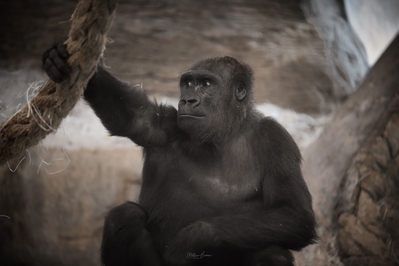 instagram spots in Catalunya - Zoo Barcelona