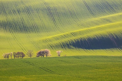 pictures of Southern Moravia - Tsunami